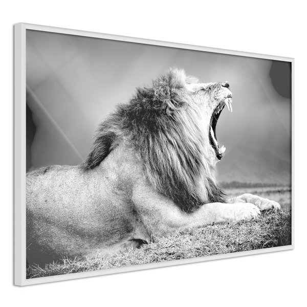 Poster 'Yawning Lion'