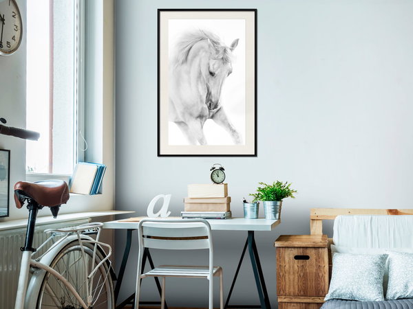 Poster 'White Horse'