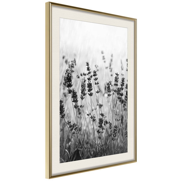Poster 'Shadow of Meadow'
