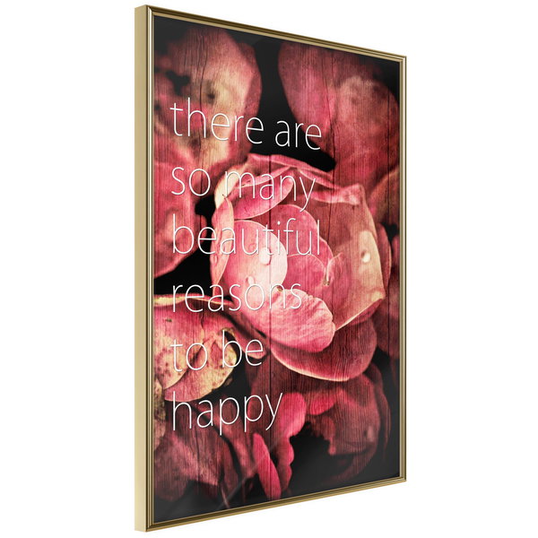 Poster 'Many Reasons to Be Happy'