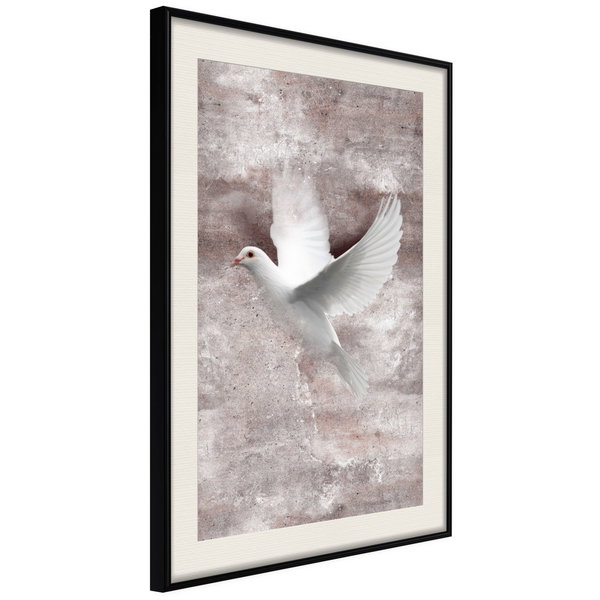 Poster 'White Dreams'