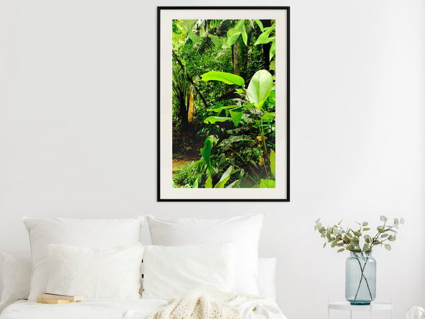 Poster 'In the Rainforest'