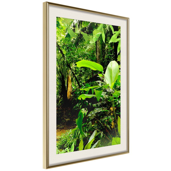 Poster 'In the Rainforest'