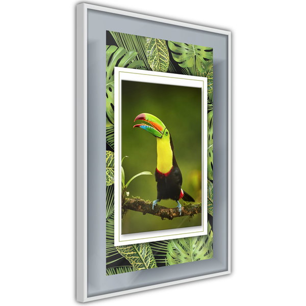 Poster 'Toucan in the Frame'