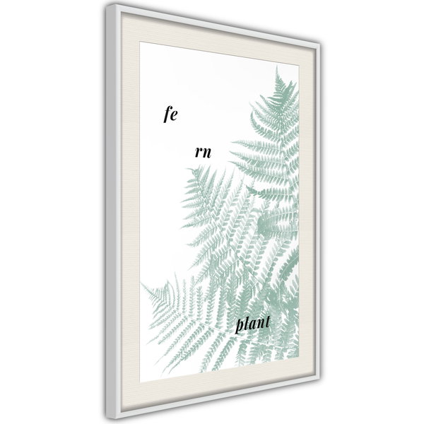Poster 'Pale Green Fern'