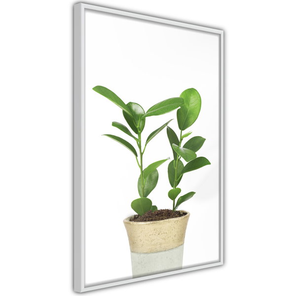 Poster 'Piece of Nature II'