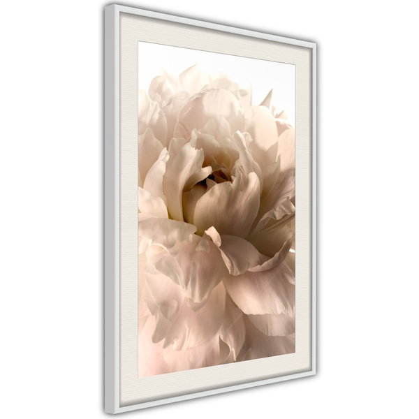 Poster 'Soft Petals'