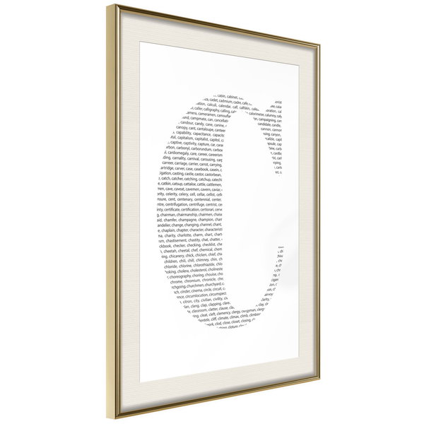 Poster 'Capital C'