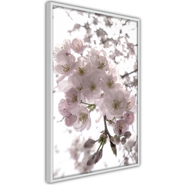 Poster 'Spring Visit'