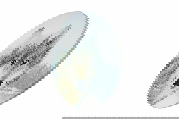 Rond schilderij 'Winter Sentinel'