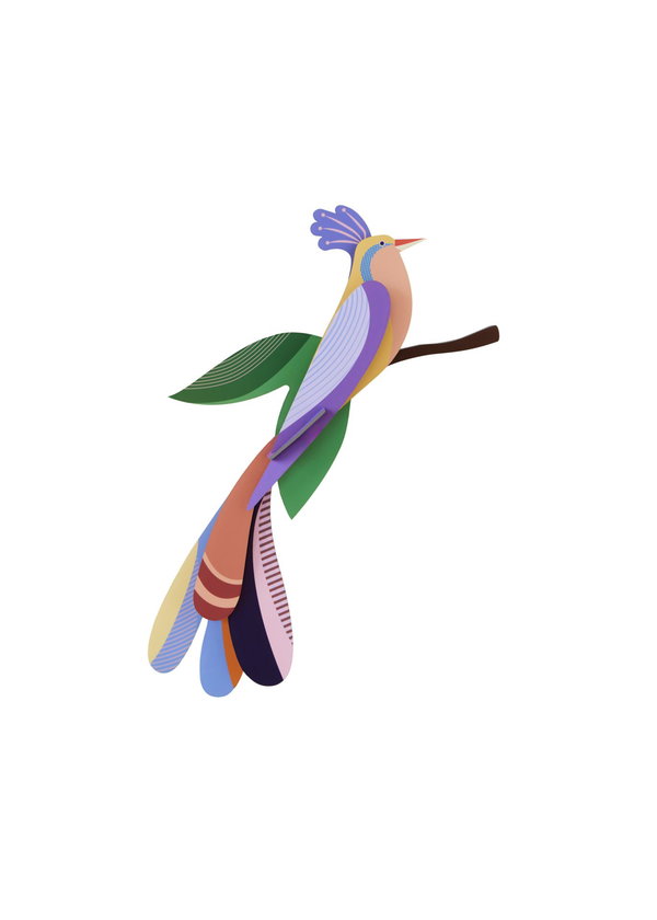 Scultura da parete in cartone 'Pastel Perch'