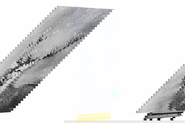 Unikat za sva četiri zida