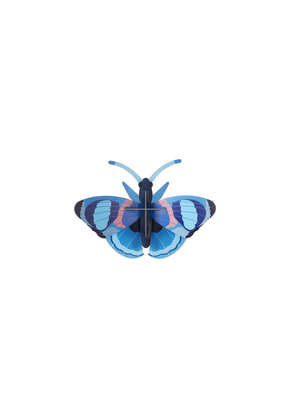 Wanddeko Papier 'Azur-Flug-Trio'