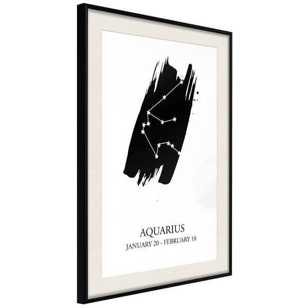 Poster 'Zodiac: Aquarius I'