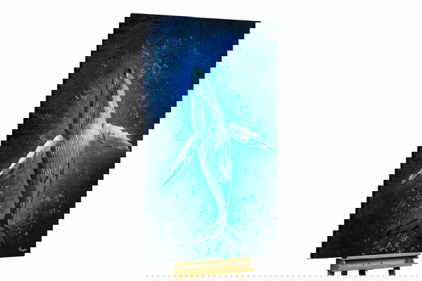 Un ejemplar único para su hogar o puesto de trabajo