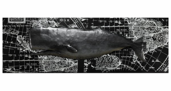 Metallbild 3D 'Whale Watching' 144x44x6cm