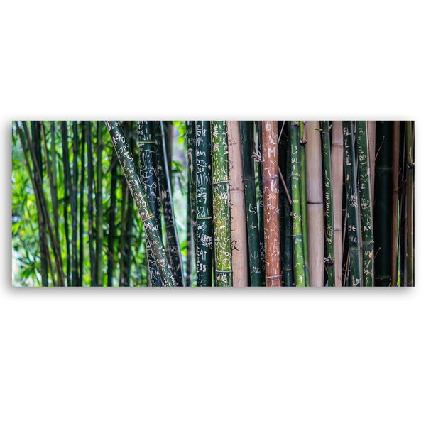 Kunstdruck auf Leinwand 'Bamboo Forest'