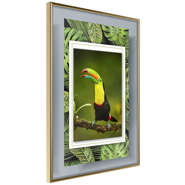 Poster 'Toucan in the Frame'