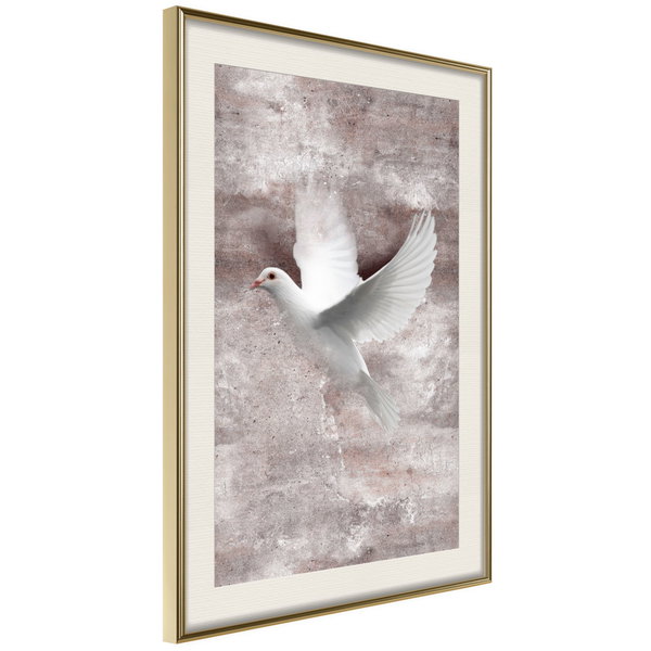Poster 'White Dreams'