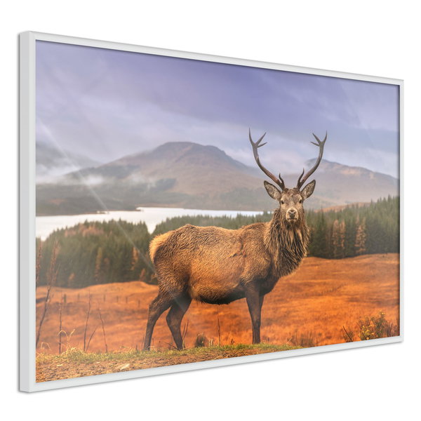 Poster 'Majestic Deer'