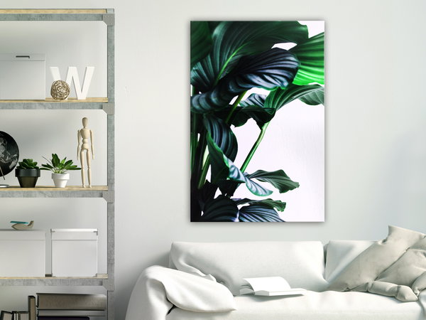 Kunstdruck auf Leinwand 'Springy Leaves Vertical'