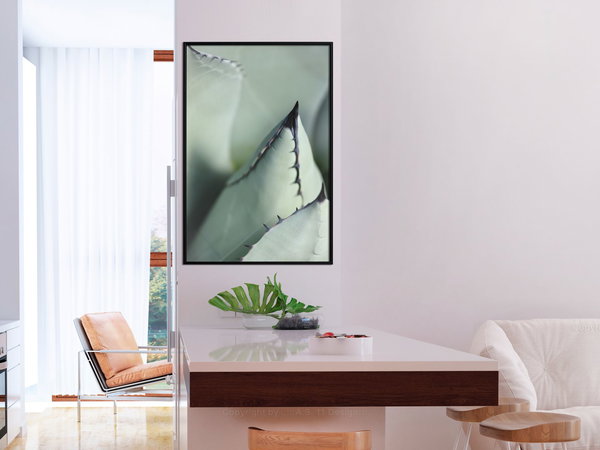 Poster 'Young Leaf of Agave'