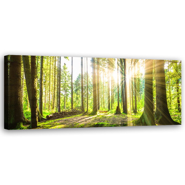 Kunstdruck auf Leinwand 'Green Forest Sunlight 3'
