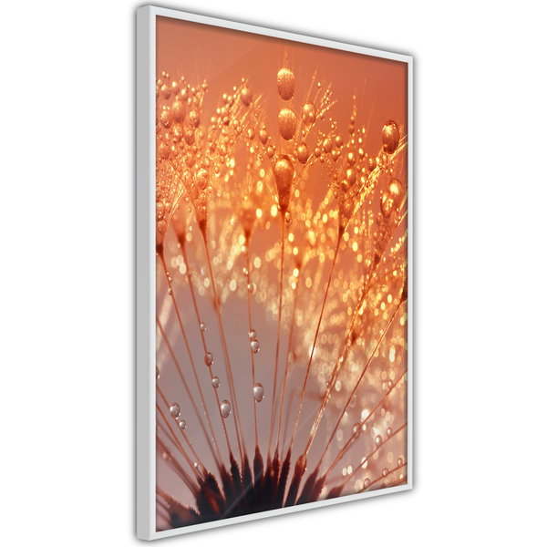 Poster 'Orange Breath of the Summer'