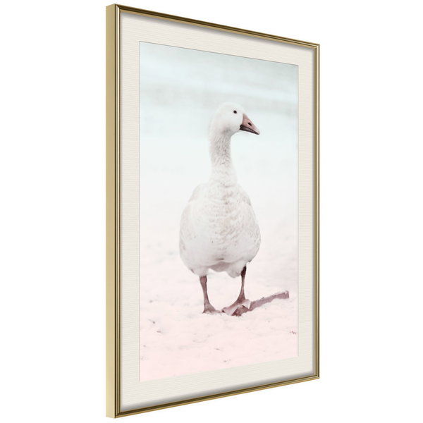 Poster 'Walking Goose'