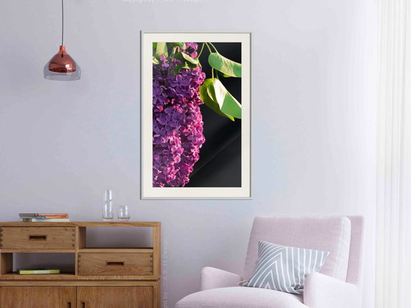 Poster 'Violet May'