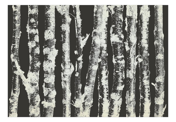 Tapete 'Stately Birches - Second Variant'