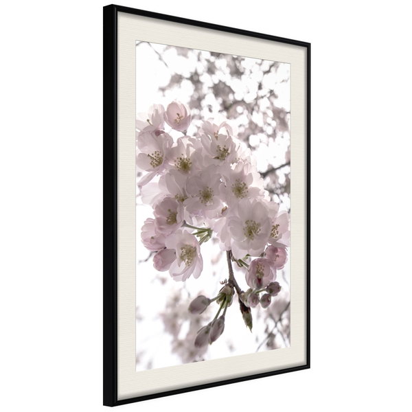 Poster 'Spring Visit'