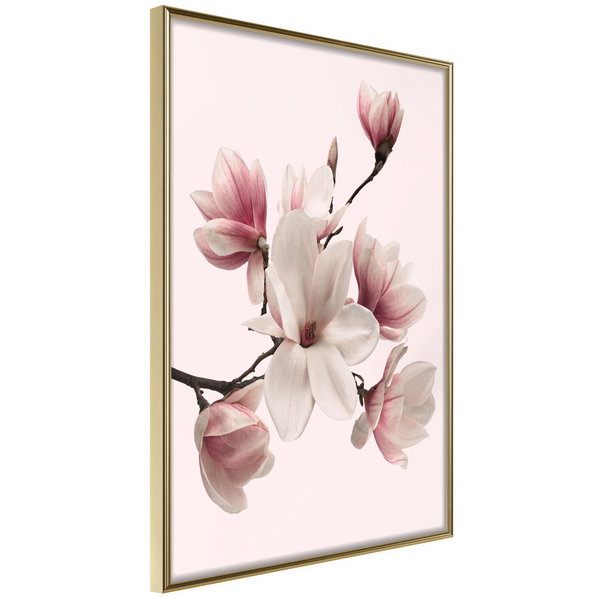 Poster 'Blooming Magnolias I'