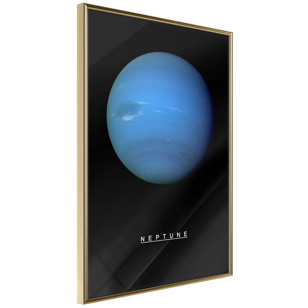 Poster 'Neptune'