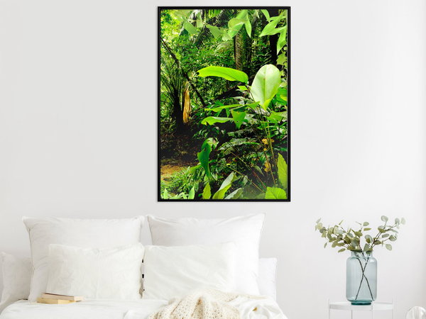 Poster 'In the Rainforest'