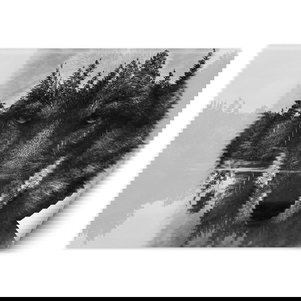 Tapéta 'Wolf Dreams'