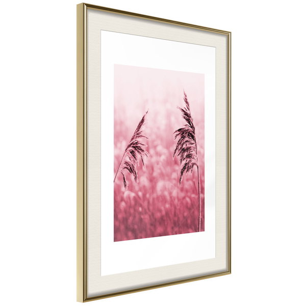 Poster 'Amaranth Meadow'
