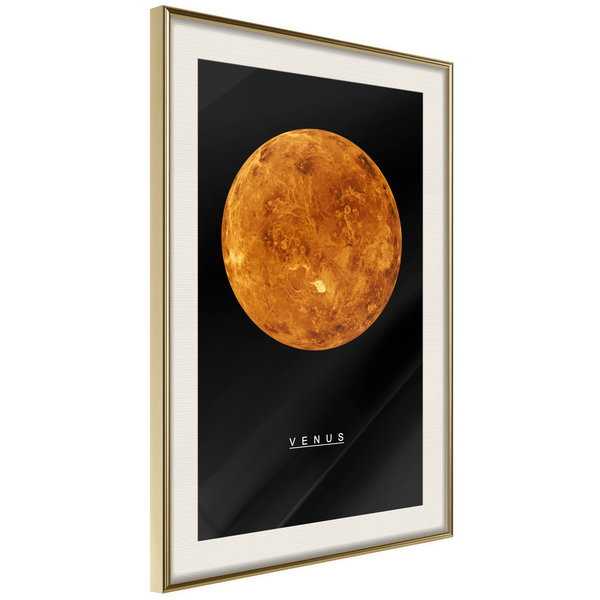 Poster 'Venus'