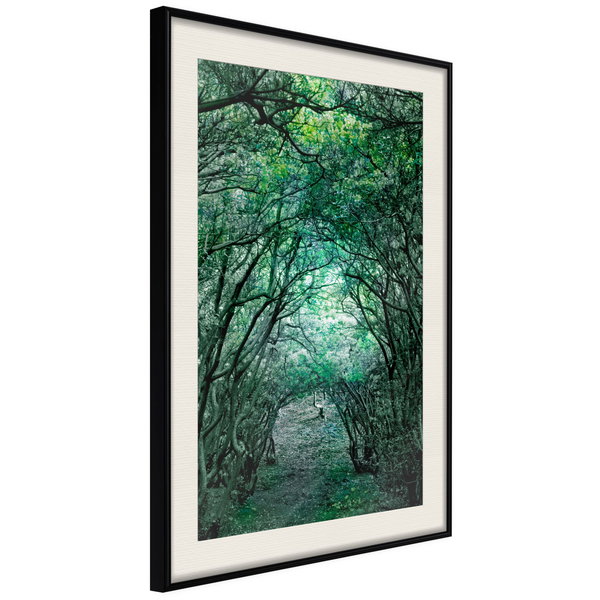 Poster 'Tree Tunnel'