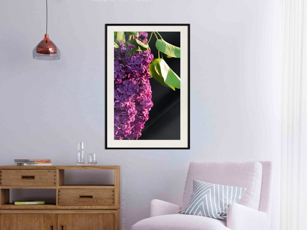 Poster 'Violet May'