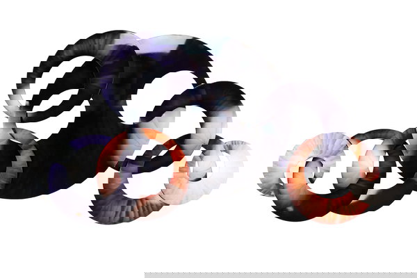 Decorazione artistica per la tua parete