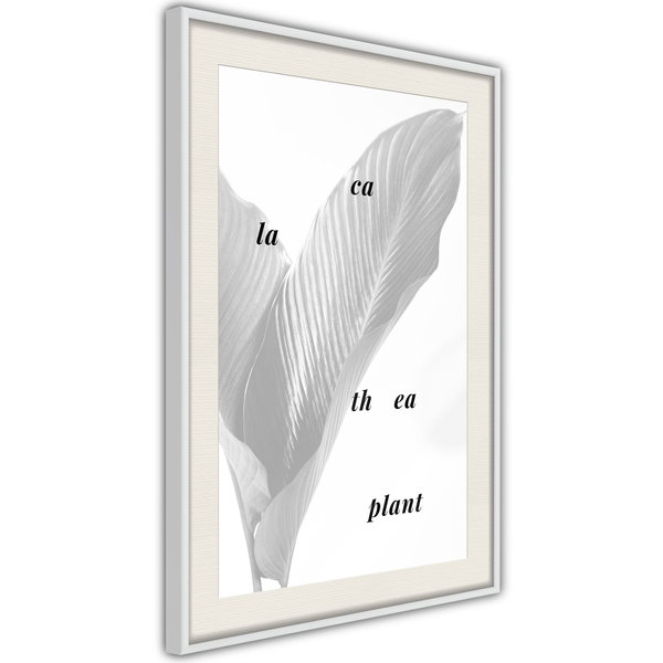 Poster 'Calathea Leaves'