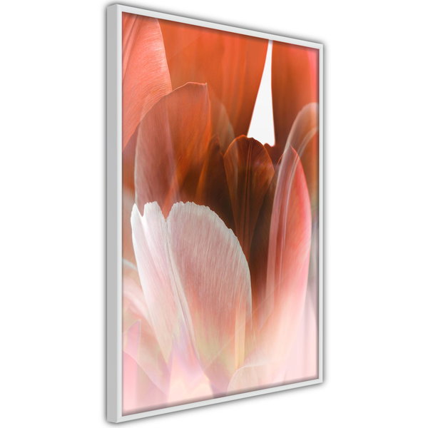 Poster 'Tulip Petals'