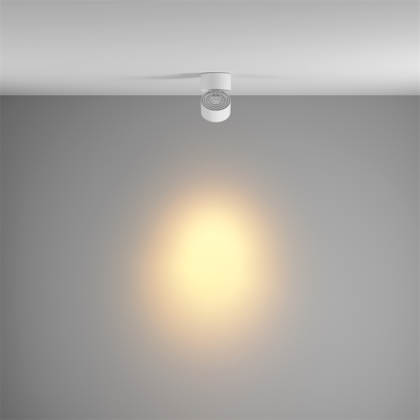 Plafondverlichting 'Yin 19'