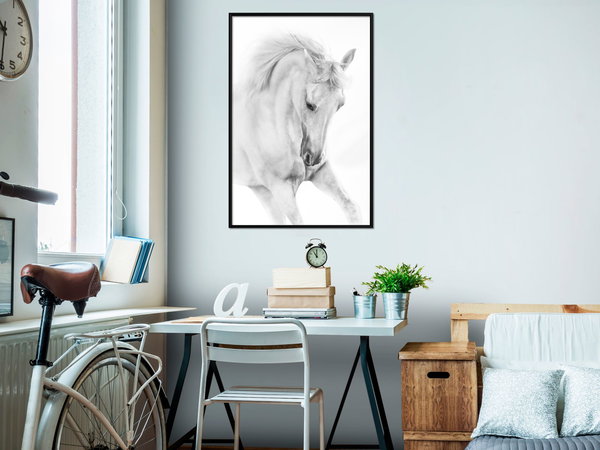 Poster 'White Horse'