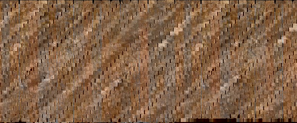 Behang 'Old Oak Floor' 600x250cm