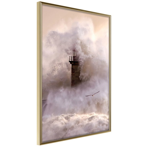 Poster 'Storm'