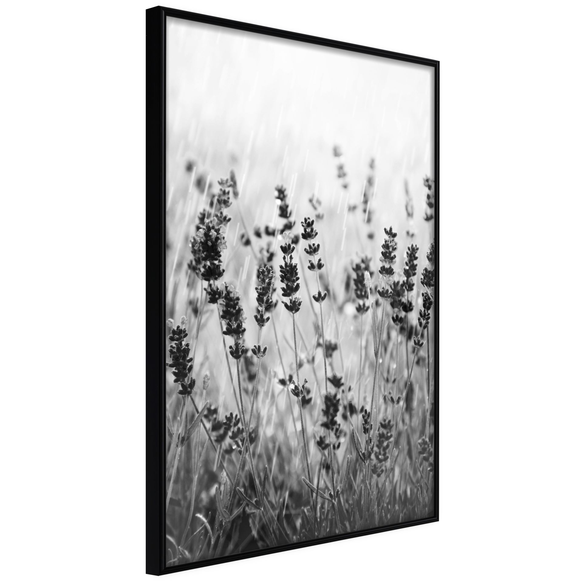 Buy poster 'Shadow of Meadow' | KunstLoft