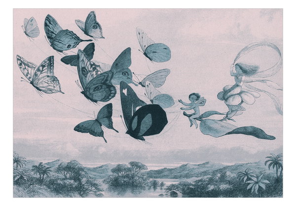 Tapete 'Butterflies and Fairy'