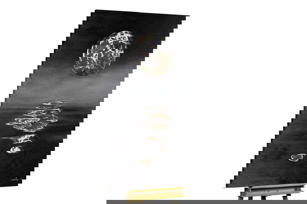 Een uniek exemplaar voor je interieur